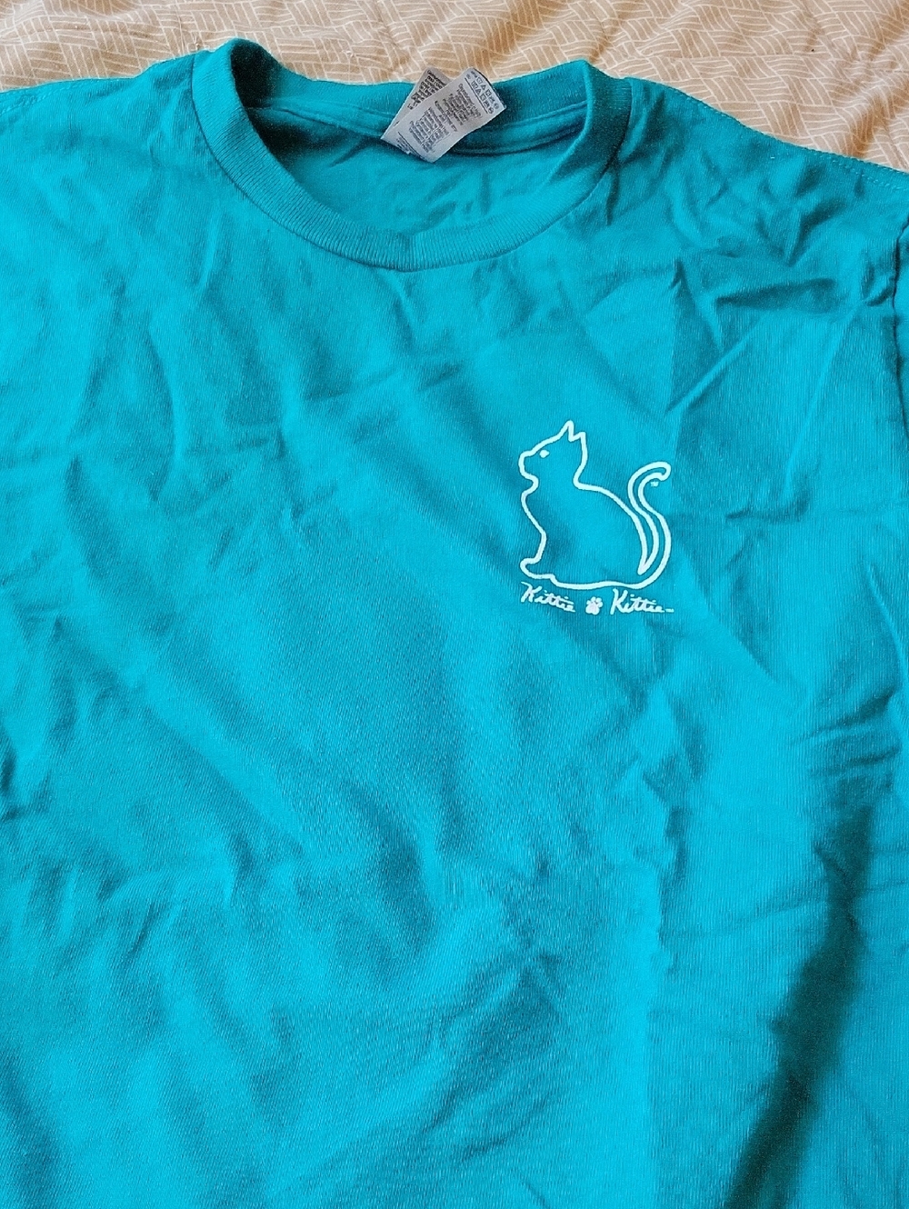 Gildan Teal Cat Outline T-Shirt with White Kitty Graphic